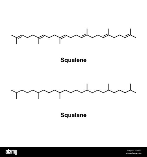Infographic explaining the difference between squalane and squalene, and their natural sources.