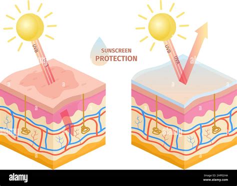 Graphic illustrating the dual benefits of shimmer sunscreen: protection from UV rays and enhancing skin's natural glow.