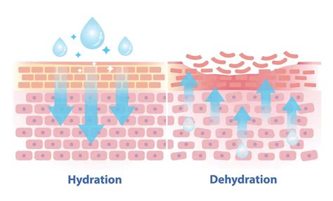 Close-up image of healthy, hydrated skin, emphasizing suppleness and reduced wrinkles.