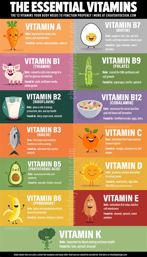 Infographic showing the key vitamins (B3, B5, B7, C, E) and their benefits for hair.