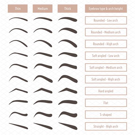 Infographic comparing male and female eyebrow shapes and makeup application