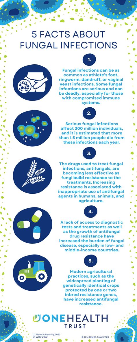 Infographic illustrating factors contributing to fungal infections: humidity, tight clothing, sharing items