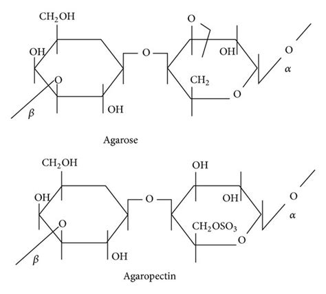 Diagram illustrating the structure of agar gel aqua capsules with encapsulated UV protective agents and humidity-responsive technology.