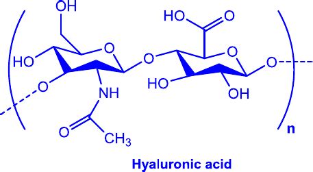 Diagram showing the structure of hyaluronic acid and its interaction with water molecules.