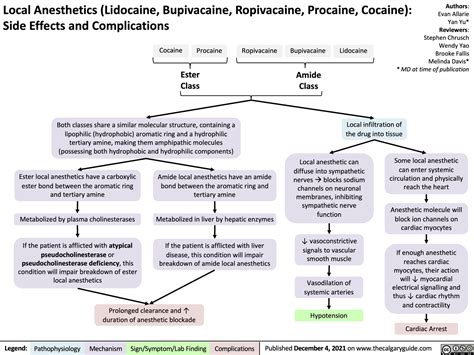 Infographic detailing common local and systemic side effects of topical anesthetics.