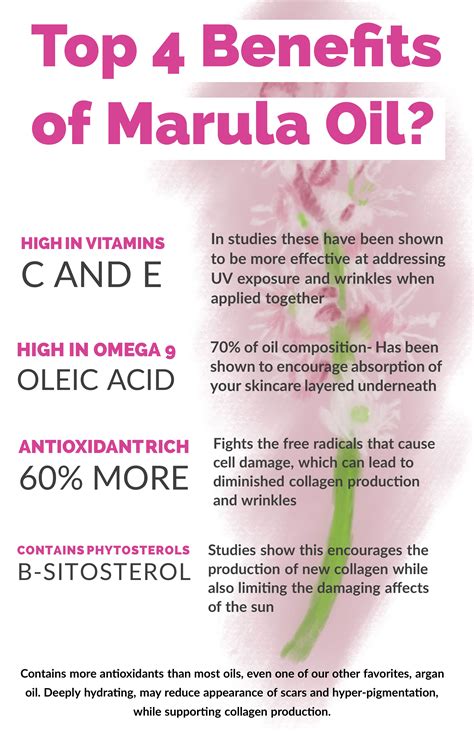 Infographic detailing the key beneficial components of marula oil: amino acids, fatty acids, and antioxidants