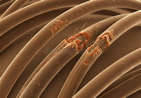 Close-up image showing damaged hair strands
