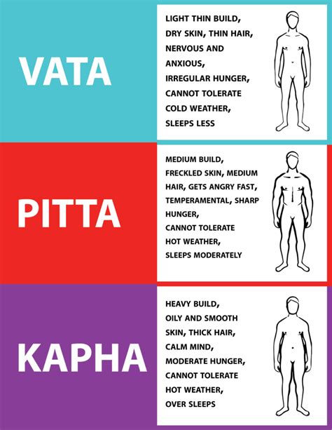 A visual comparison of Vata, Pitta, and Kapha skin types with characteristic features.