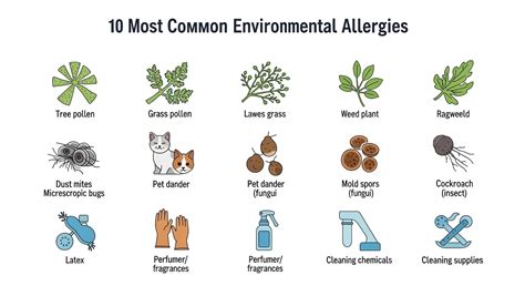 Infographic showing common allergens for dogs, including pollen, dust mites, fleas, and common food ingredients like chicken and beef.