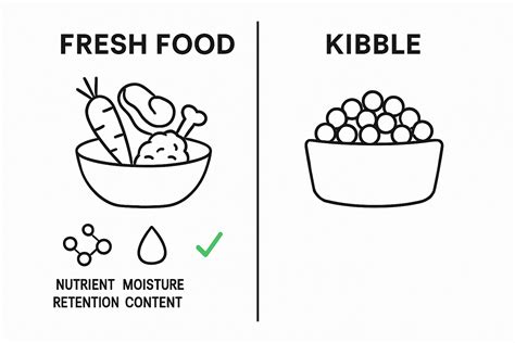 Illustration comparing the nutritional content of fresh food diets versus kibble.