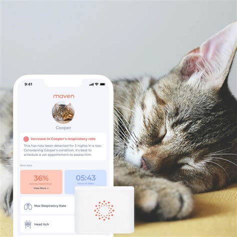 Image of the Maven Pet sensor and its accompanying mobile application interface, highlighting data tracking features.