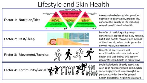 Infographic illustrating the effects of lifestyle factors on skin health