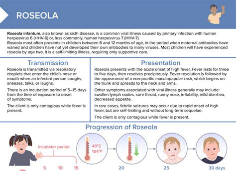 Diagram illustrating the typical progression of a roseola rash, starting on the trunk and spreading outwards