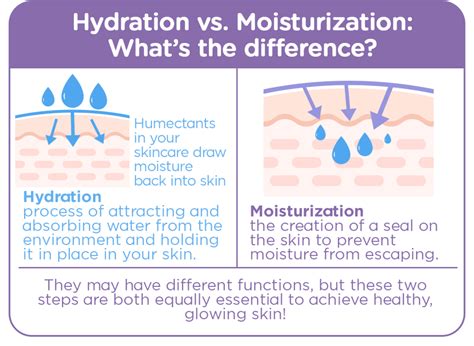 A diagram showing the layered structure of the lips and how moisturizing ingredients penetrate to provide hydration.