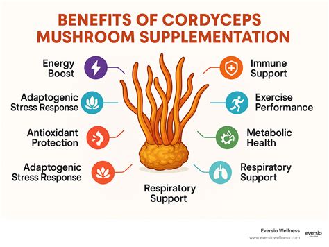Infographic detailing the benefits of Reishi, Cordyceps, and Turmeric in skincare