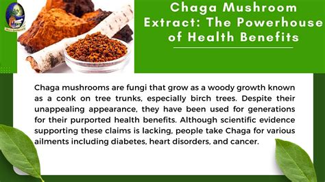 Illustration comparing the molecular structure of fermented vs. unfermented Chaga mushroom extract and its benefits