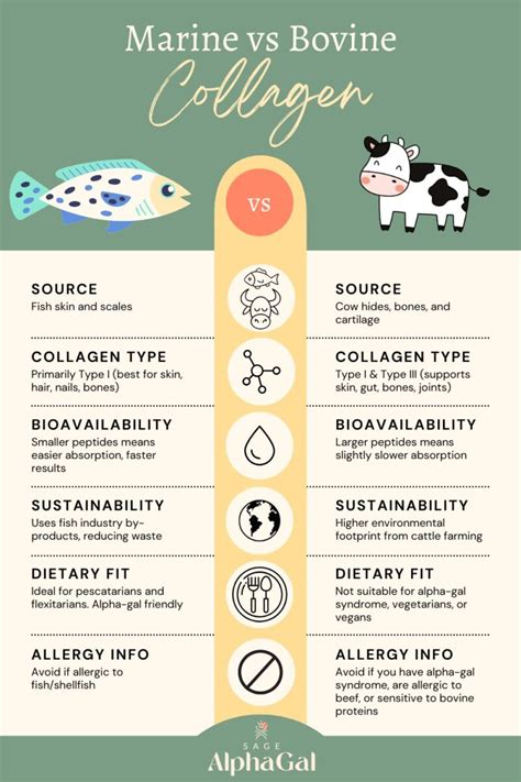Infographic comparing the sustainability of marine collagen production versus bovine collagen production, highlighting waste reduction in the fishing industry.