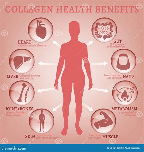 Infographic detailing the potential benefits of collagen for skin, joints, hair, and nails.