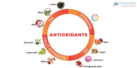 Diagram illustrating how antioxidants in calendula oil protect skin cells from damage.