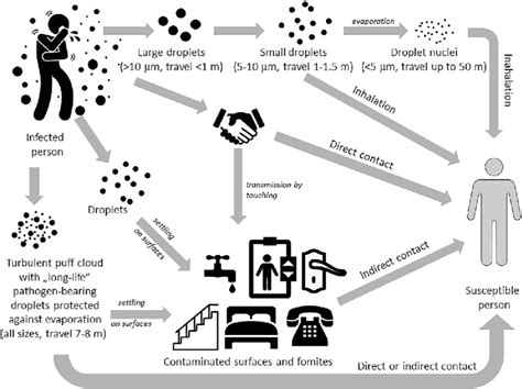 Infographic illustrating how re-exposure to urushiol from contaminated clothing or objects can cause new rashes.