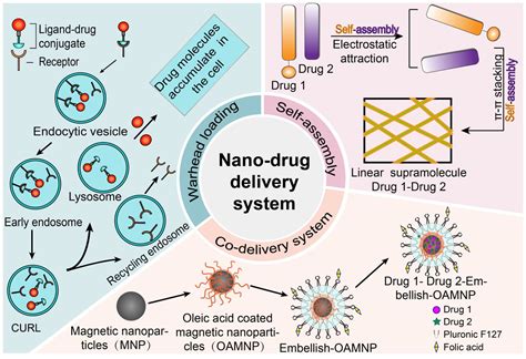 Illustration comparing traditional ingredient delivery with encapsulated or nano-delivery systems in skincare.