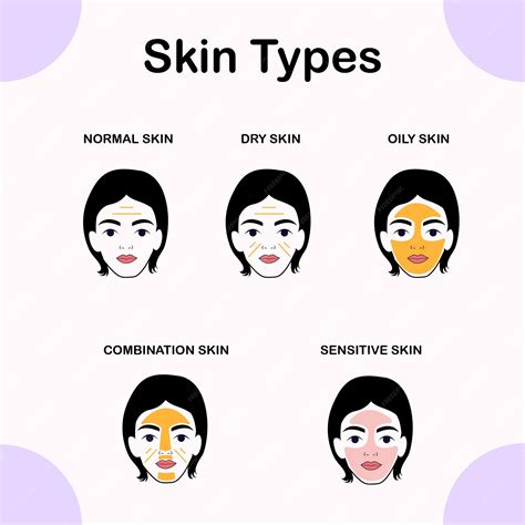 Visual representation of different skin types (oily, dry, combination, sensitive) and common concerns associated with each.