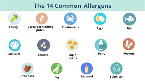 Infographic showing common allergens that can cause itchy ears.