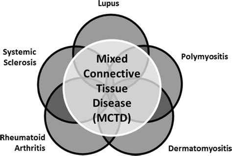 Diagram showing the various organs that can be affected by mixed connective tissue disease (MCTD).
