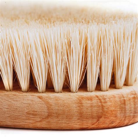 Close-up image showing the texture of dry brushing bristles