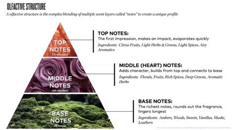 Infographic detailing the top, middle, and base notes of the Rainkissed Leaves fragrance.