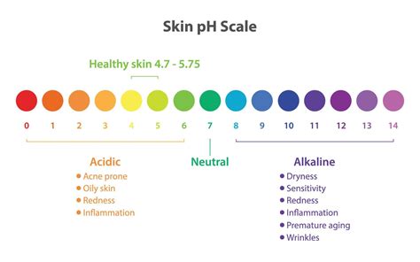 Infographic illustrating the pH scale and common skincare ingredient pH ranges.