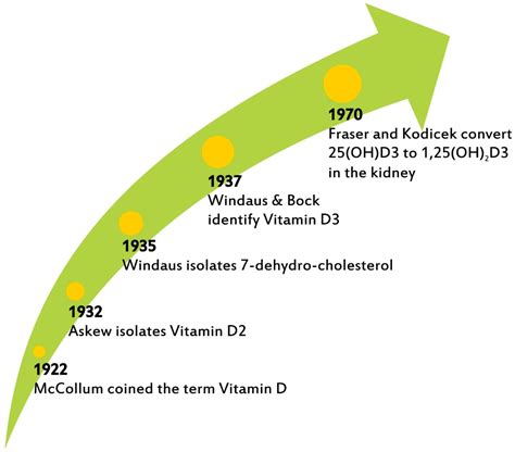 Timeline illustrating key milestones in vitamin D research.