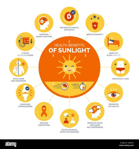 Infographic showing various sources of Vitamin D (sunlight, food, supplements).