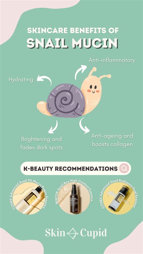 Infographic detailing the key components of snail mucin and their respective benefits for the skin.