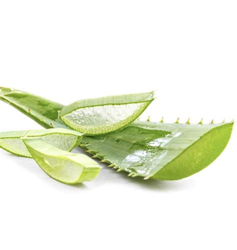 Collage of natural ingredients: coconut, tea tree, aloe vera, avocado, banana