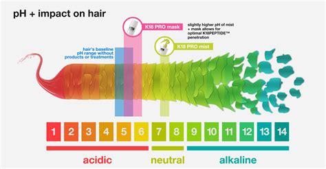 diagram illustrating the protective acid mantle of the scalp and the impact of pH 5.5