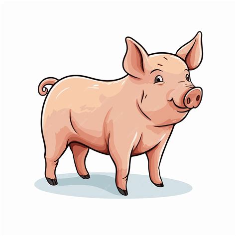 Illustration of a pig and its skin