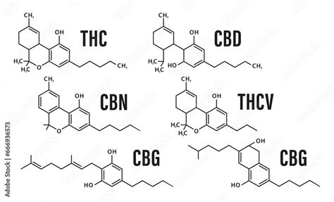 Diagram showing the chemical structures of CBD, THC, CBN, CBG, terpenes, and flavonoids.