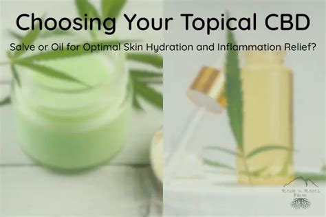 Flowchart outlining the steps to choosing a quality CBD salve.