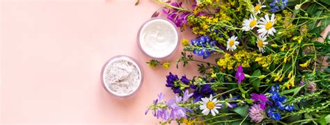 Illustration showcasing the natural botanical ingredients commonly found in sensitive scalp conditioners, highlighting their soothing and hydrating properties.