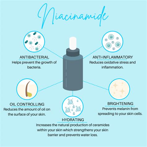 Infographic explaining the role of ceramides and niacinamide in skin barrier function