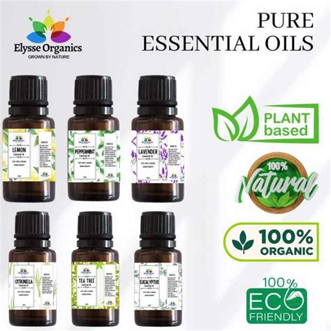 collage of essential oil bottles (citronella, clove, lavender, peppermint, eucalyptus, tea tree) with fresh herbs