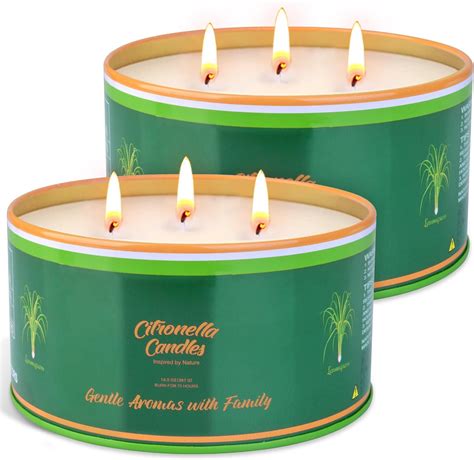 photo of a garden with citronella candles and lavender plants