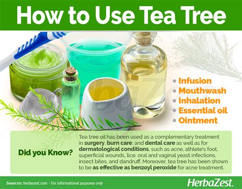 Infographic showing the process of applying tea tree oil to a minor cut