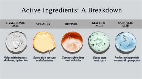 Illustration of key active ingredients and their functions in night creams
