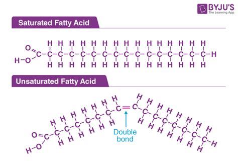 Illustration of different fatty acid molecular structures and their common sources.
