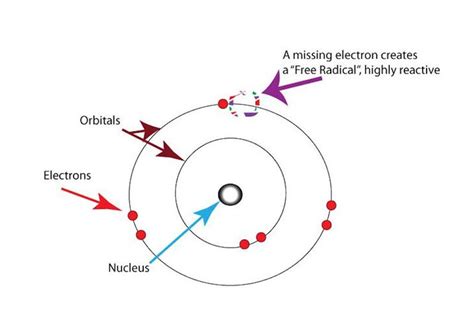 Diagram illustrating how Vitamin C neutralizes free radicals