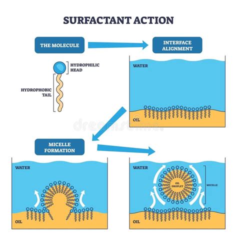 Diagram illustrating the double-action micellar technology with inverted micelles and surfactant reorganization.