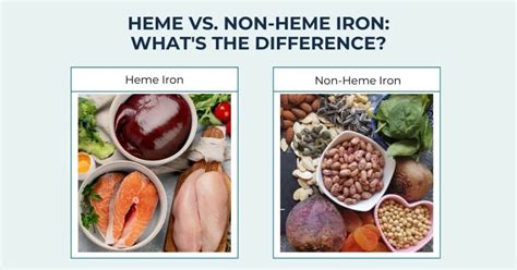 Infographic comparing Heme and Non-Heme Iron, their sources, and absorption rates.