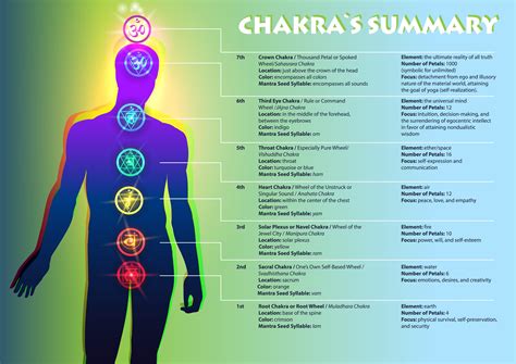 Illustration of the seven chakras along the spine, highlighting the Sacral Chakra in orange.